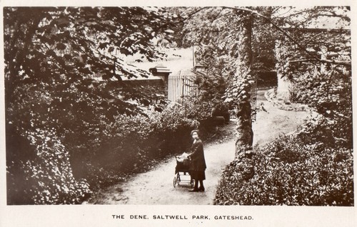 Gateshead saltwell park the - park.,