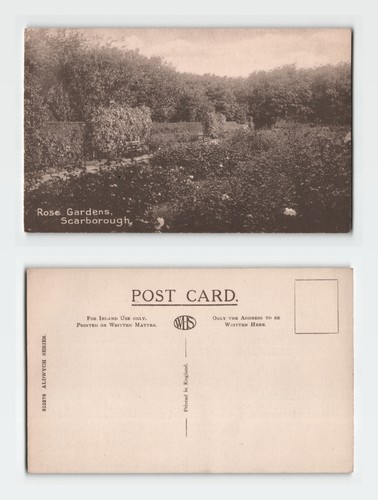 Vintage postcard scarborough - vintage,